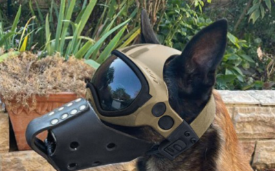 K9 Kiiver Teenistuskoerale